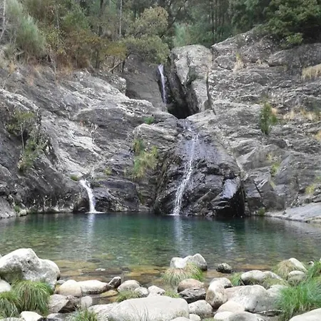 Charming In Arcozeloportugal Near Forest *