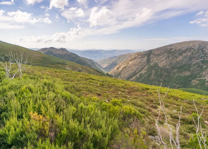 Country Escape With Pool Portugal * Ponte de Lima